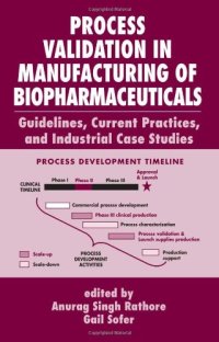 cover of the book Process Validation in Manufacturing of Biopharmaceuticals: Guidelines, Current Practices, and Industrial Case Studies