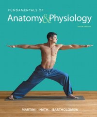 cover of the book Fundamentals of Anatomy & Physiology