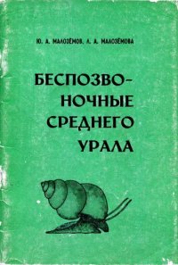 cover of the book Беспозвоночные Среднего Урала. Кольчатые черви и моллюски.