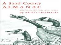 cover of the book A Sand County Almanac  With Other Essays on Conservation from Round River