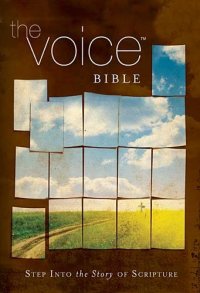 cover of the book The Voice Bible: Step Into the Story of Scripture