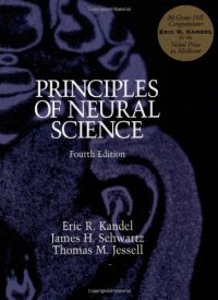 cover of the book Principles Of Neural Science