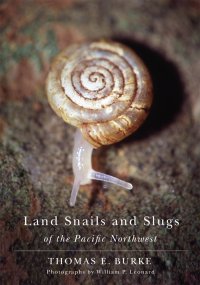 cover of the book Land Snails and Slugs of the Pacific Northwest