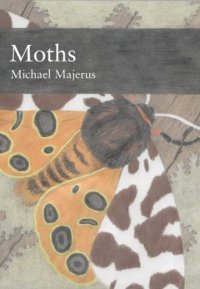 cover of the book Moths