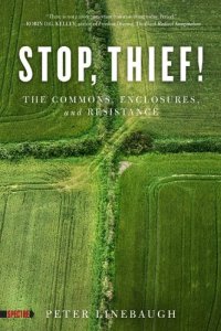 cover of the book Stop, Thief!: The Commons, Enclosures, and Resistance