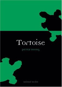 cover of the book Tortoise