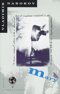 cover of the book Mary : a novel