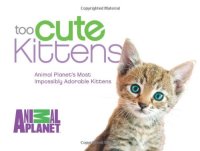 cover of the book Too Cute Kittens: Animal Planet's Most Impossibly Adorable Kittens