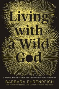 cover of the book Living with a Wild God: A Nonbeliever's Search for the Truth about Everything