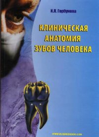 cover of the book Клиническая анатомия зубов