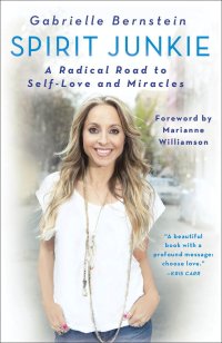 cover of the book Spirit Junkie