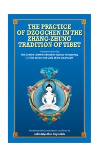 cover of the book The practice of Dzogchen in the Zhang-Zhung tradition of Tibet : translations from the Bonpo Dzogchen practice manual : The Gyalwa Chaktri of Druchen Gyalwa Yungdrung and The seven-fold cycle of the clear light, the dark retreat practice from the Zhang-zh