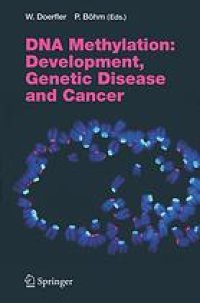 cover of the book DNA methylation development, genetic disease and cancer ; with 10 tables