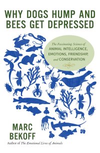 cover of the book Why dogs hump and bees get depressed: the fascinating science of animal intelligence, emotions, friendship, and conservation