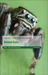 cover of the book Animal Eyes