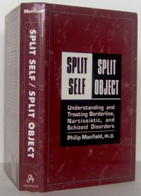 cover of the book Split Self / Split Object - Understanding and Treating Borderline, Narcissistic, and Schizoid Disorders