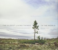 cover of the book The Oldest Living Things in the World