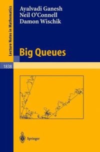 cover of the book Big Queues