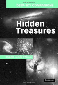 cover of the book Hidden treasures