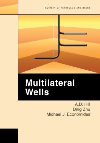 cover of the book Multilateral Wells