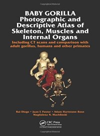 cover of the book Baby Gorilla: Photographic and Descriptive Atlas of Skeleton, Muscles and Internal Organs