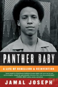 cover of the book Panther Baby