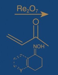 cover of the book Comprehensive Organic Name Reactions and Reagents