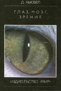 cover of the book Глаз, мозг, зрение