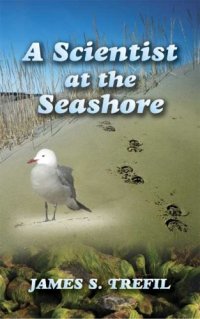 cover of the book A scientist at the seashore