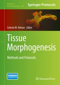 cover of the book Tissue Morphogenesis: Methods and Protocols