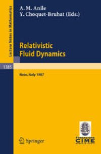 cover of the book Relativistic Fluid Dynamics: Lectures given at the 1st 1987 Session of the Centro Internazionale Matematico Estivo (C.I.M.E.) held at Noto, Italy, May 25–June 3, 1987