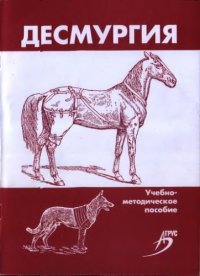 cover of the book Десмургия : учебно-практическое пособие