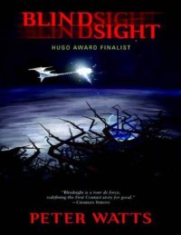 cover of the book Blindsight