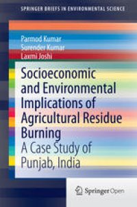 cover of the book Socioeconomic and Environmental Implications of Agricultural Residue Burning: A Case Study of Punjab, India