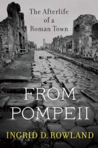 cover of the book From Pompeii: The Afterlife of a Roman Town