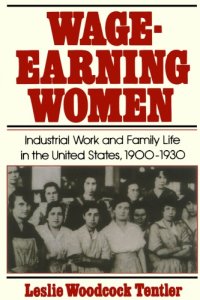 cover of the book Wage-Earning Women: Industrial Work and Family Life in the United States, 1900-1930