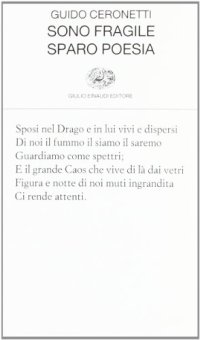 cover of the book Sono fragile, sparo poesia