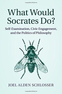 cover of the book What Would Socrates Do?: Self-Examination, Civic Engagement, and the Politics of Philosophy