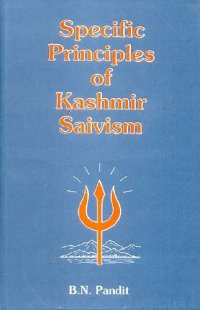 cover of the book Specific Principles of Kashmir Saivism