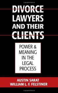 cover of the book Divorce Lawyers and Their Clients: Power and Meaning in the Legal Process