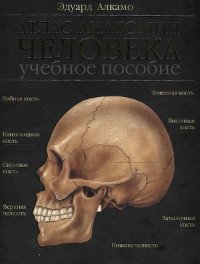 cover of the book Атлас анатомии человека