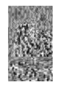 cover of the book Адсорбенты, их получение, свойства и применение