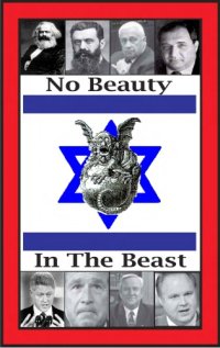 cover of the book No beauty in the beast : Israel without her mascara