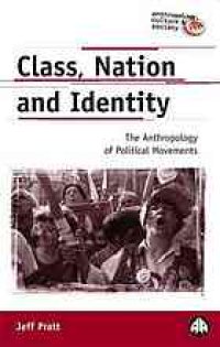 cover of the book Class, nation, and identity : the anthropology of political movements