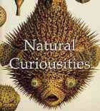 cover of the book Natural curiosities