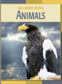 cover of the book Animals