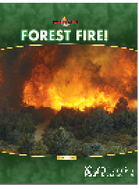 cover of the book Forest Fire!