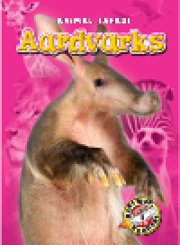 cover of the book Aardvarks