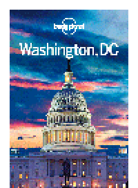 cover of the book Washington DC Travel Guide