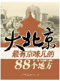 cover of the book 大北京. 最有京味儿的88个地方